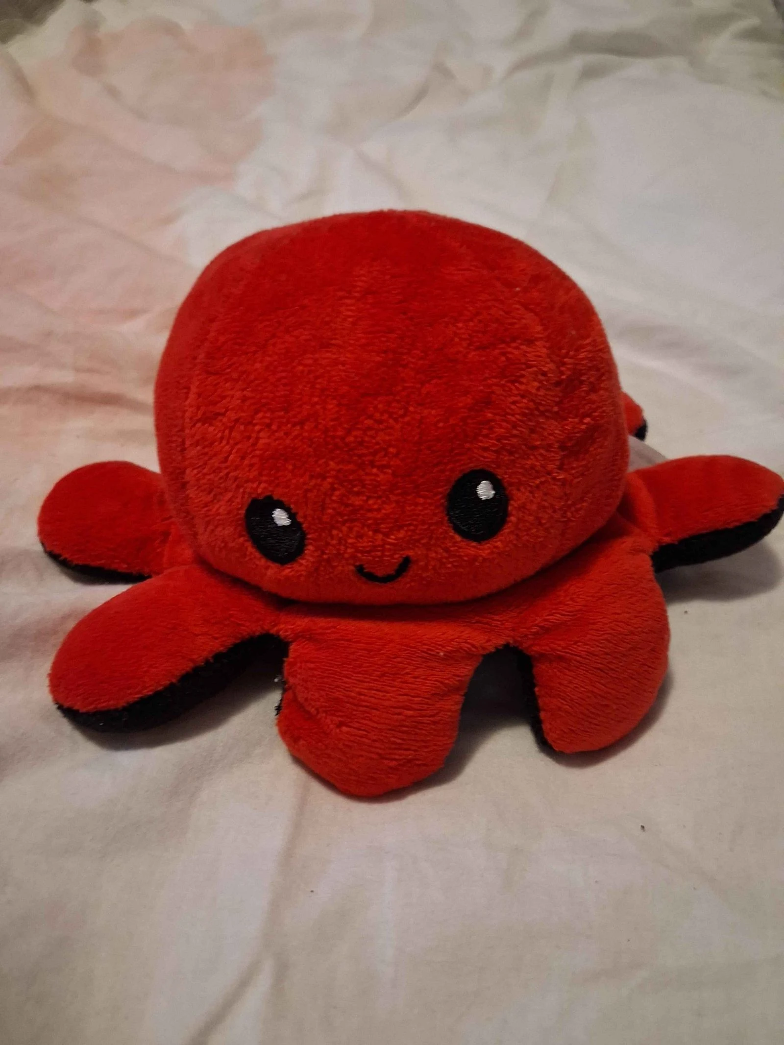 Poulpe rouge et noir